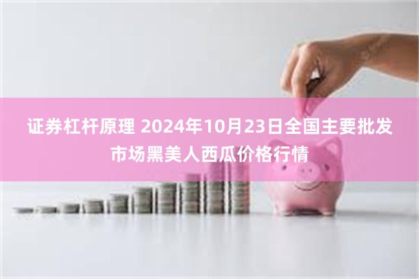 证券杠杆原理 2024年10月23日全国主要批发市场黑美人西