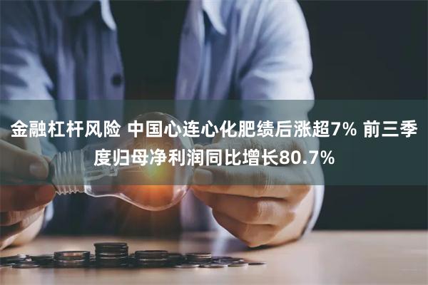 金融杠杆风险 中国心连心化肥绩后涨超7% 前三季度归母净利润