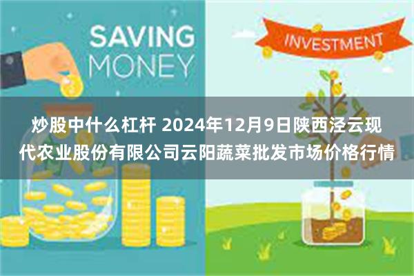 炒股中什么杠杆 2024年12月9日陕西泾云现代农业股份有限