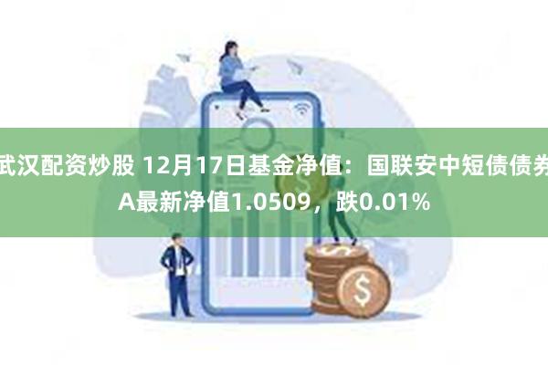 武汉配资炒股 12月17日基金净值：国联安中短债债券A最新净