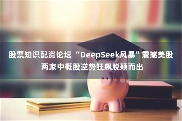 股票知识配资论坛 “DeepSeek风暴”震撼美股 两家中概