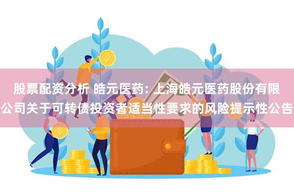 股票配资分析 皓元医药: 上海皓元医药股份有限公司关于可转债