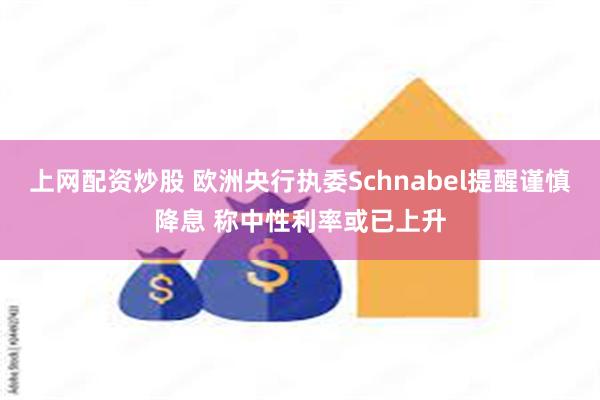 上网配资炒股 欧洲央行执委Schnabel提醒谨慎降息 称中